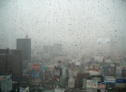 Rainy1.jpg