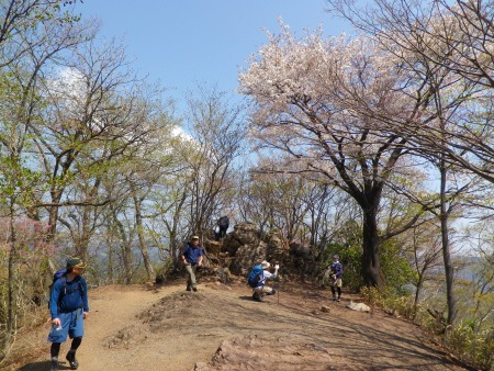 2014.04.伊豆ヶ岳