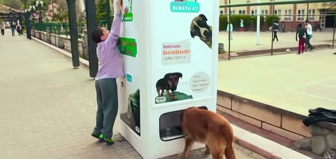 リサイクルボックスで捨てられた動物たちを救う（トルコ）