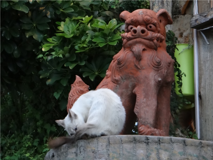 シーサーと猫のツーショット（沖縄）