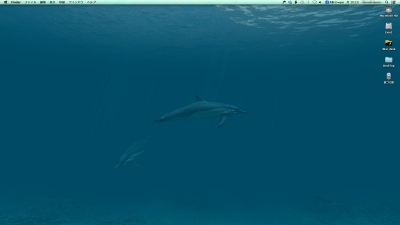 Dolphins 3D Lite1
