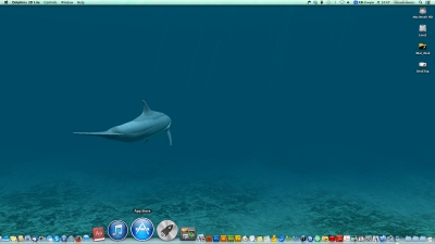 Dolphins 3D Lite3