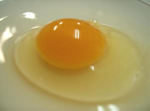 生卵とゆで卵ってどっちのほうが日持ちするの？