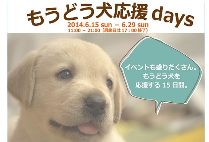 盲導犬応援イベント「もうどう犬応援days」を15日から開催（銀座）