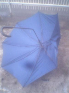 傘の残骸