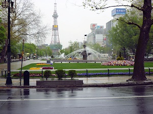 雨の大通公園