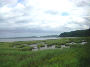 厚岸湖と湿原
