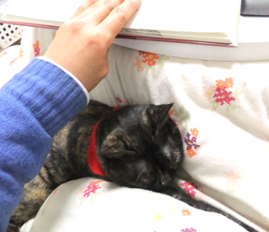 おネコと読書1