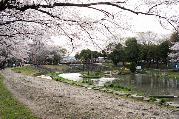 桜風景1-6