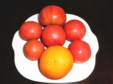 tomato-1.jpg