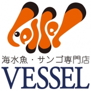 vessel-1997